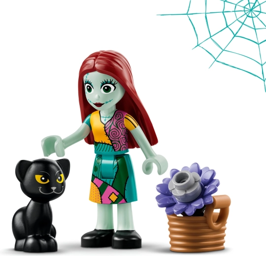 Sally und ihre schwarze Katze