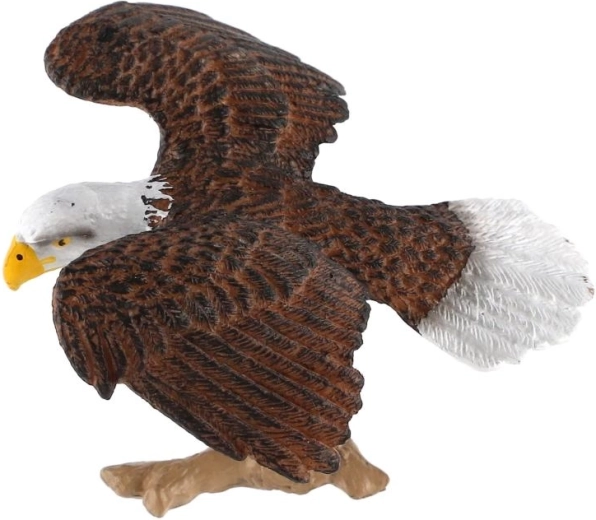 Inspiriert von einem faszinierenden Greifvogel