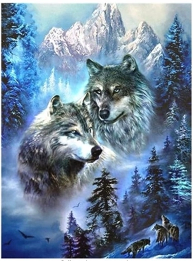 Diamantmalerei – zwei Wölfe in den Bergen 30 × 40 cm