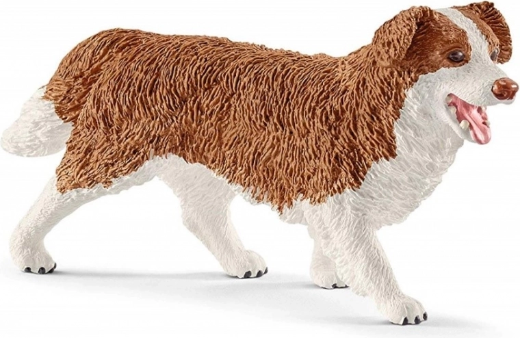 Tierpflege mit Hündin Ruby