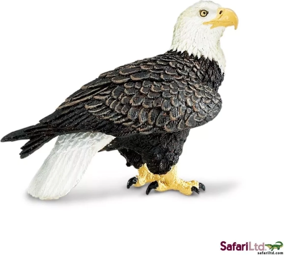 Safari Ltd. Weißkopfseeadler