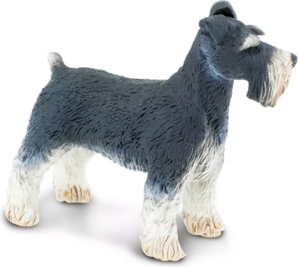 Detailgetreue Schnauzer-Details