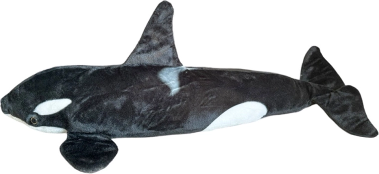 Plüsch-Orca 80 cm