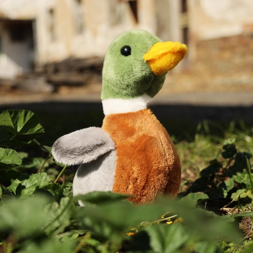 Eco-friendly-Füllung