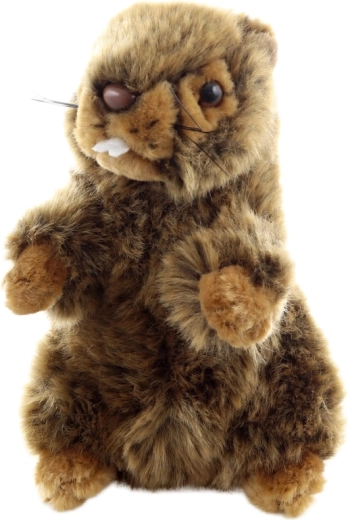 Umweltfreundliche Verarbeitung