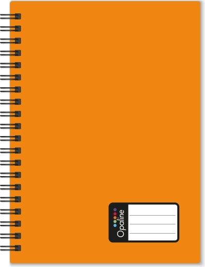 A5-Notizblock Opaline mit Doppelspirale, orange
