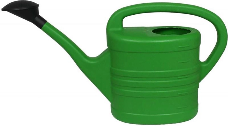 Gießkanne 2 l mit Brauseaufsatz