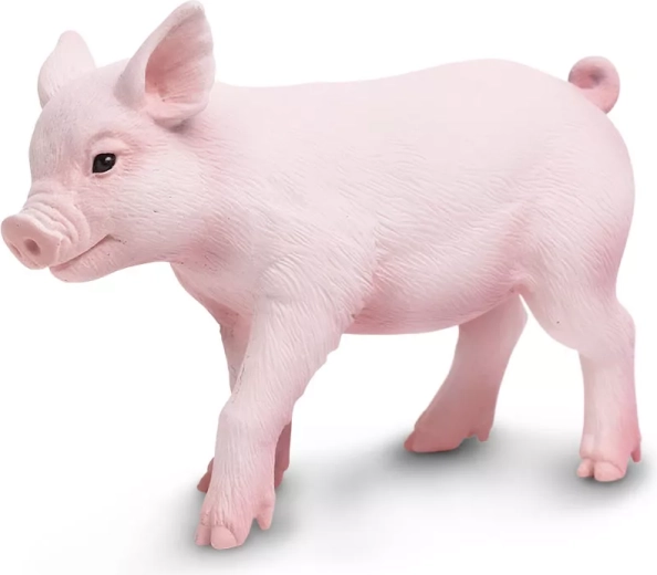 Safari Ltd. Ferkel-Figur – 1 Stück