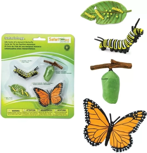 Safari Ltd. Lebenszyklus des Monarchfalters
