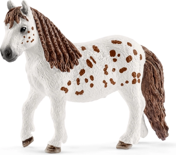 Shetland-Pony Spotty mit liebevollen Details