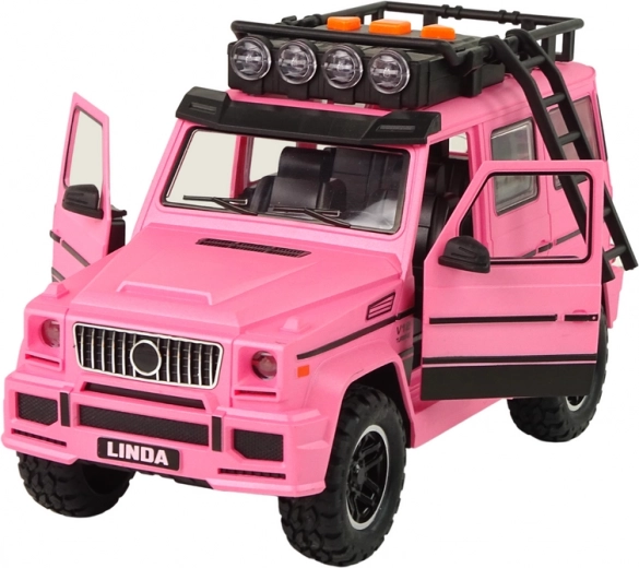 Öffnende Türen und Kofferraum