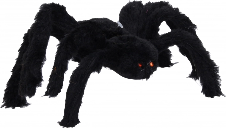 Große schwarze Spinne zu Halloween