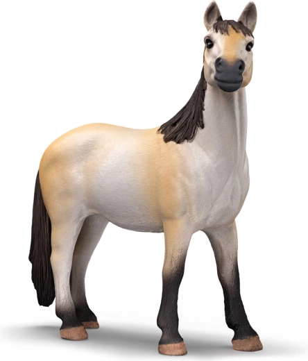 Wunderschöne Mustang-Stute