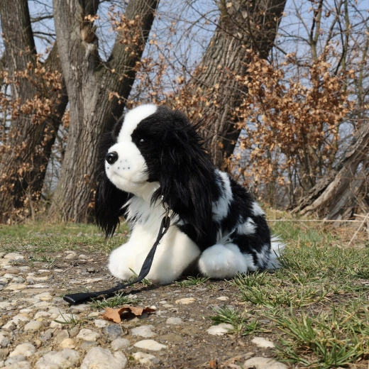 Leine für Spaziergänge beim Spielen
