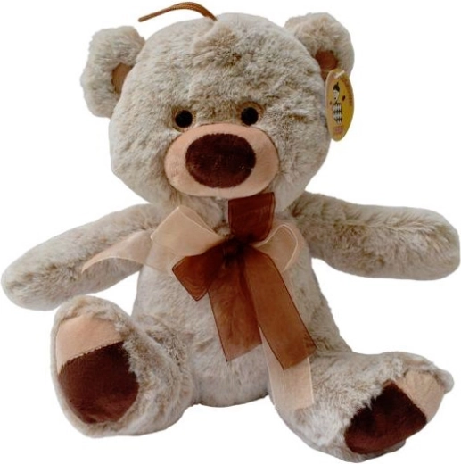 Brauner Plüschteddybär mit Accessoires