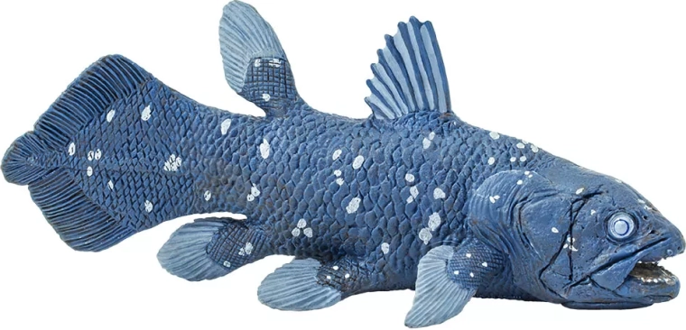 Safari Ltd. Quastenflosser-Figur – 1 Stück