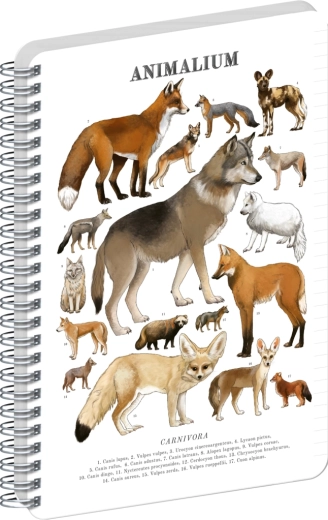 Notique Spiralblock Animalium – Hundartige Raubtiere, liniert, A5