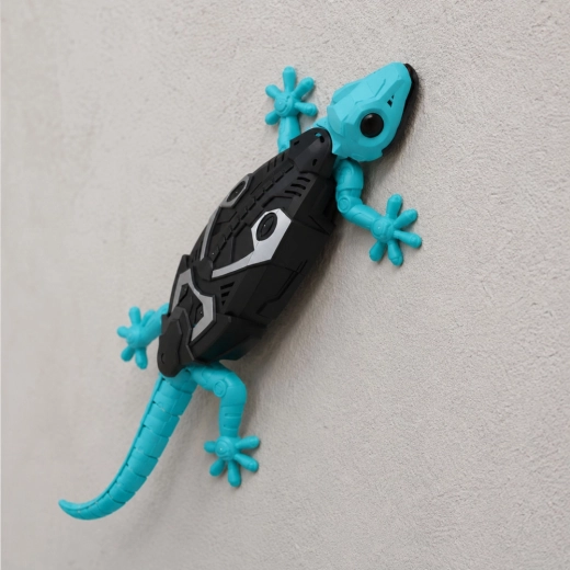 Klettert an der Wand und fährt auf dem Boden