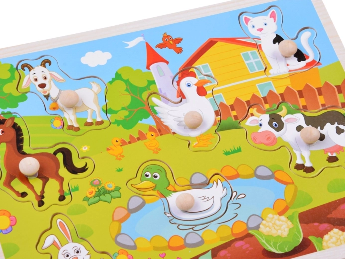 Farbige Illustrationen und spielerisches Lernen