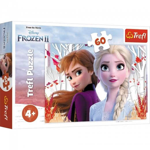 Puzzle 60 Teile Wundervolle Welt von Anna und Elsa