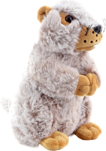 Ideale Größe für Kinderhände