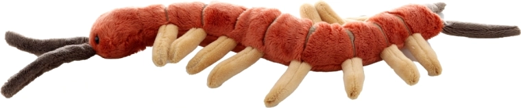 Ideale Größe für Zuhause und unterwegs