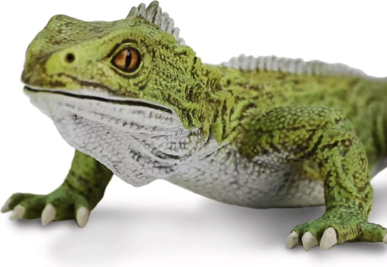 Detailgetreue Darstellung der Tuatara bis ins kleinste Detail
