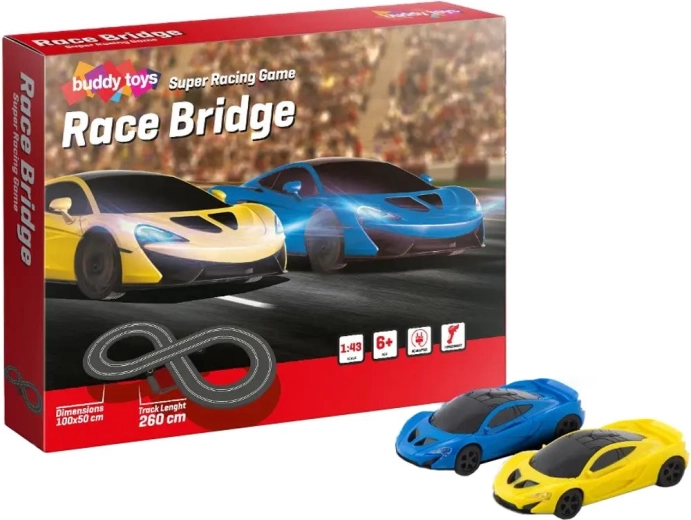 Autorennbahn Race Buddy Toys