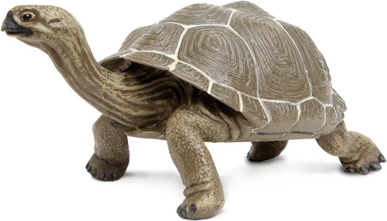 Safari Ltd. Galápagos-Schildkröte – Figur