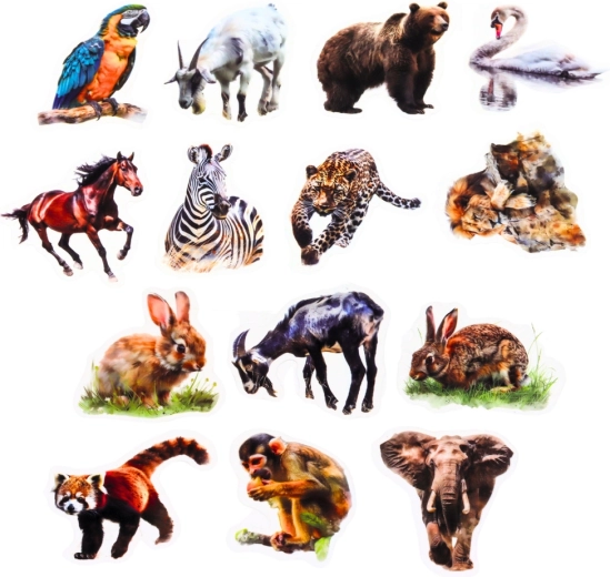 50 realistische Tiermotive
