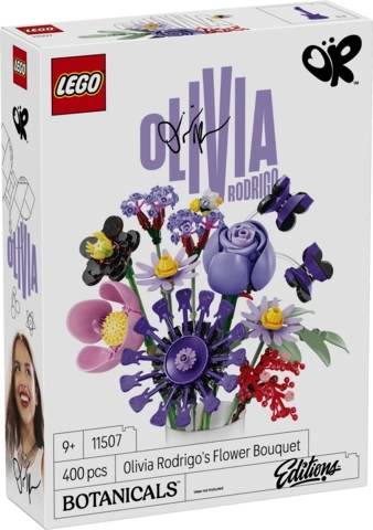 Von Olivia Rodrigo inspirierte Details