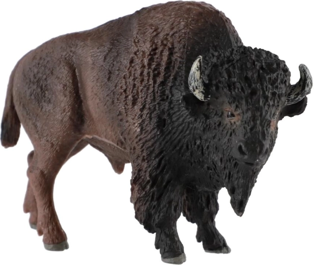 Realistische Details des Bisons