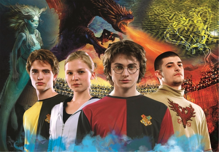 Puzzle 1000 Teile Harry Potter