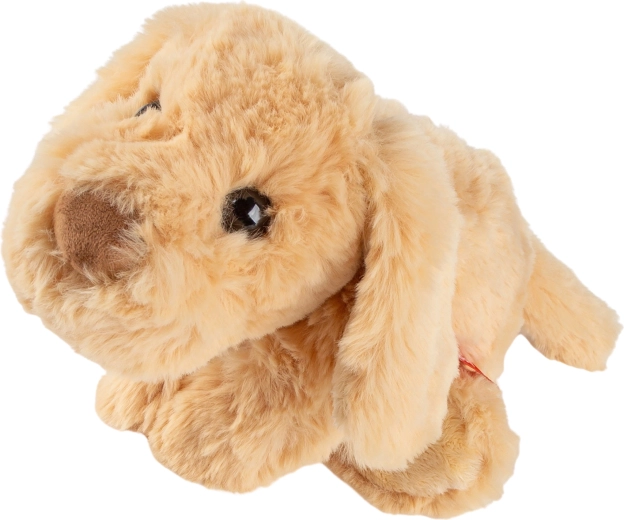 Sichere Ausführung geeignet für kleine Kinder