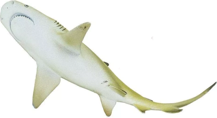Geeignet ab 3 Jahren