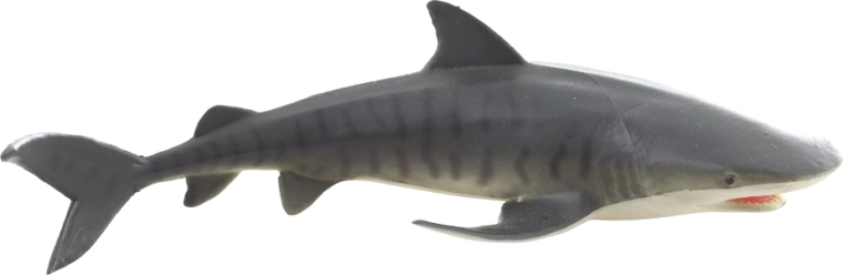 Robustes und sicheres Spielzeug