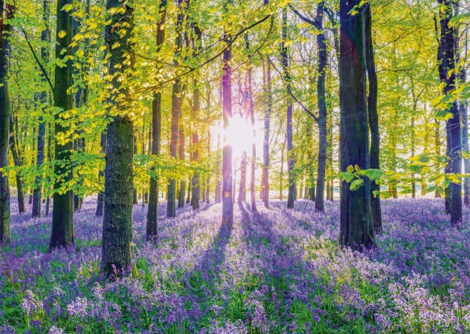 Puzzle Sanfte Blaue Glocken im Wald 1000 Teile