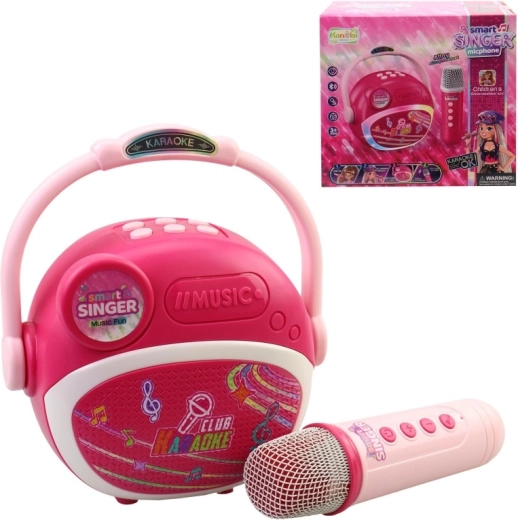 Kinder-Karaoke-Mikrofon mit Batterie