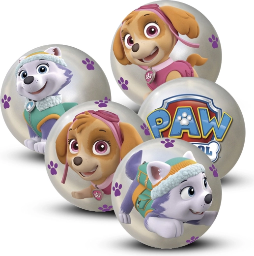 Paw Patrol Ball 10 cm – Display 12 Stück