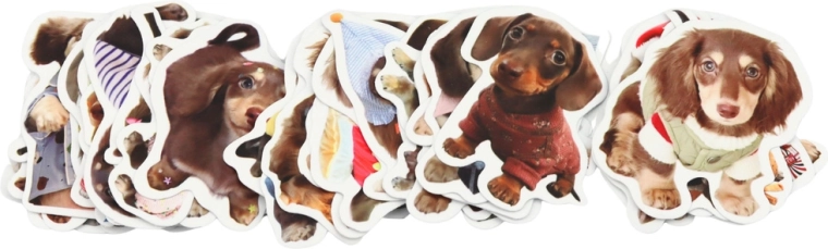 50 Spaniel-Motive in einem Set
