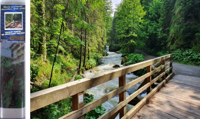 Norimpex Diamantmalerei Holzbrücke im Wald 30x40 cm