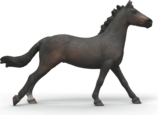 Dynamische Pose und elegante Silhouette des Vollbluts