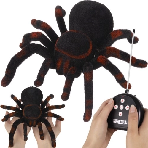 Fernsteuerbare Spinne