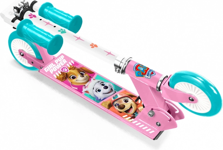 Fröhliches Paw-Patrol-Design