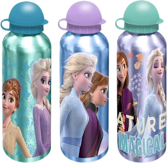 Beliebtes Disney-Frozen-Design