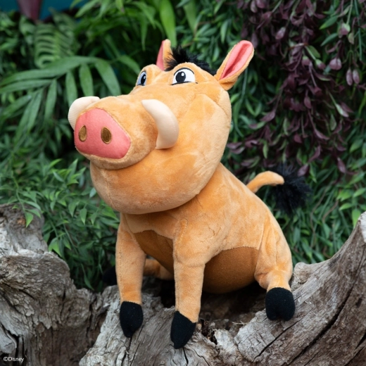 Offizieller DISNEY-Look und detailgetreue Ausführung