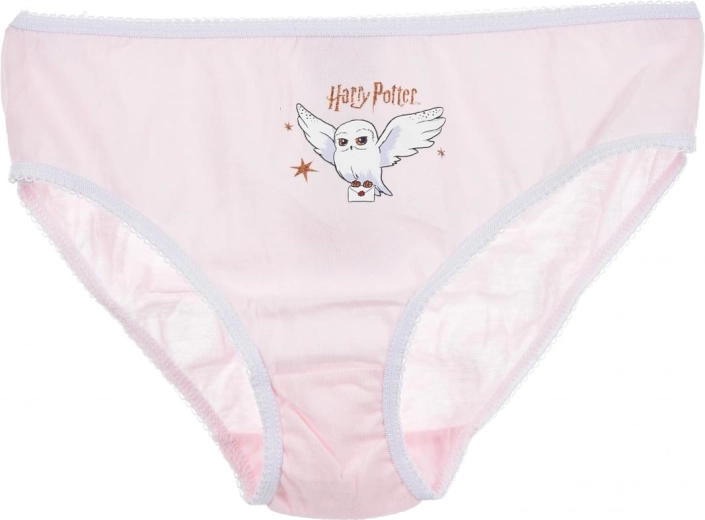 Lizenzierter Harry-Potter-Motiv