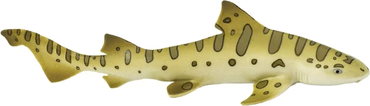 Safari Ltd. Leopardenhai – 1 Stück