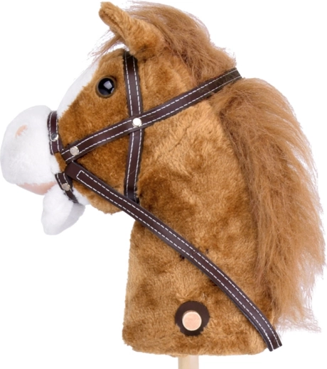 Galopp- und Wiehergeräusche