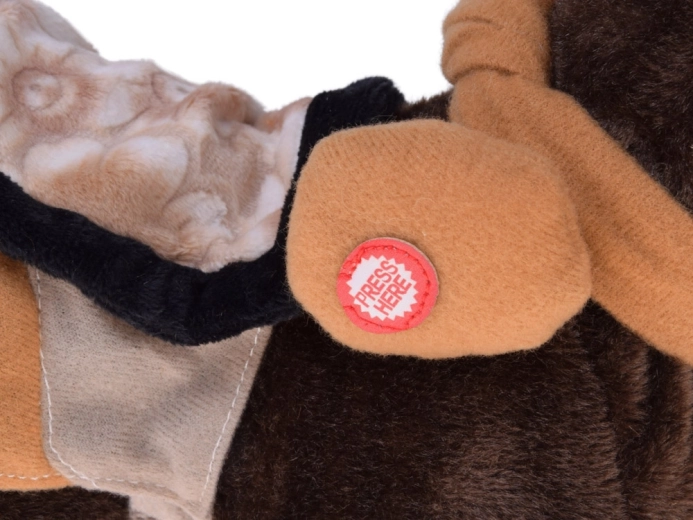 Läuft, wiehert und tanzt zu Country